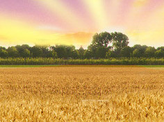 开云体育全站登录入口基地展示3