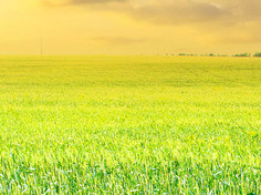 开云体育全站登录入口基地展示1